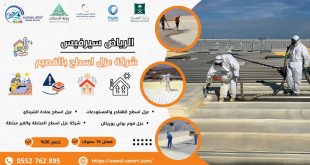 شركة الرياض سيرفيس للخدمات المنزلية