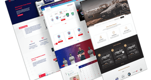 لماذا تحتاج إلى شركة تصميم مواقع